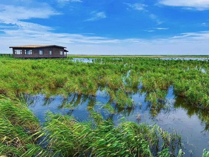 上海东滩湿地公园,东滩湿地公园开放时间2022