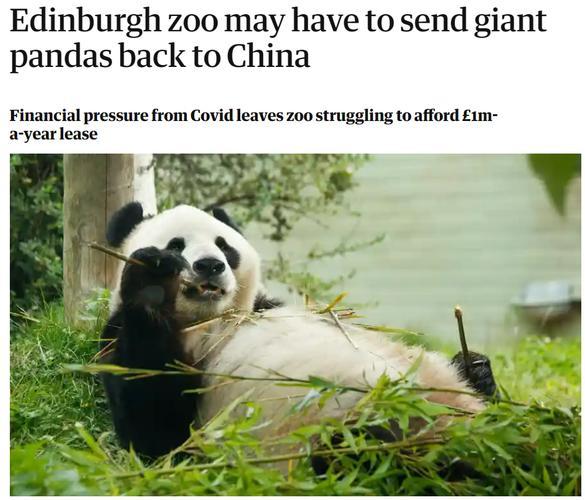 美国养死了几只熊猫了,都叫什么名字